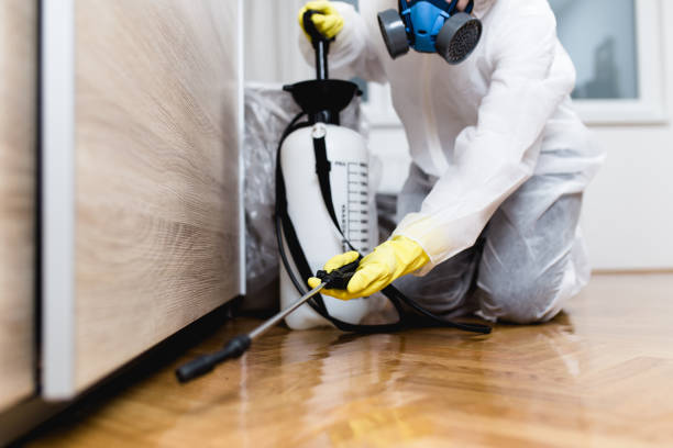 Best Best Pest Control Companies  in Merrydale, LA