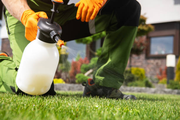 Best Pest Prevention Services  in Merrydale, LA