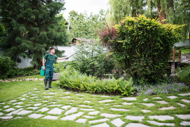 Best Affordable Pest Control Services  in Merrydale, LA