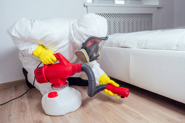 Best Flea Control Services  in Merrydale, LA