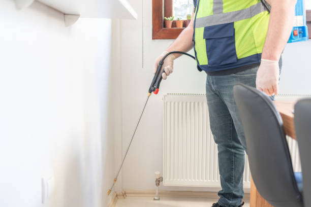 Best Affordable Pest Control Services  in Merrydale, LA