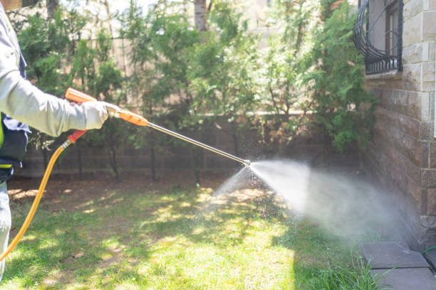 Best Termite Control Services  in Merrydale, LA