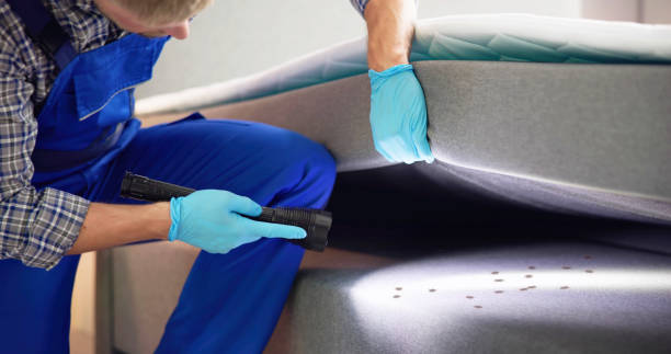 Best Ant Control Services  in Merrydale, LA