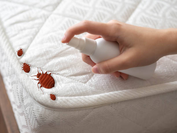 Best Best Pest Control Companies  in Merrydale, LA