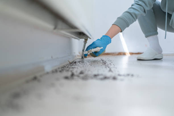 Best Rat Extermination Near Me  in Merrydale, LA