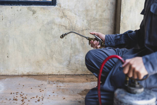 Pest Prevention Services in Merrydale, LA